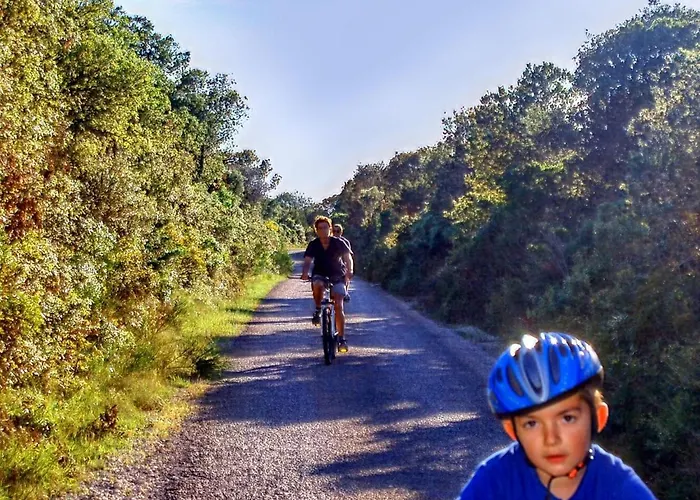 On Dugi Otok Near Sakarun