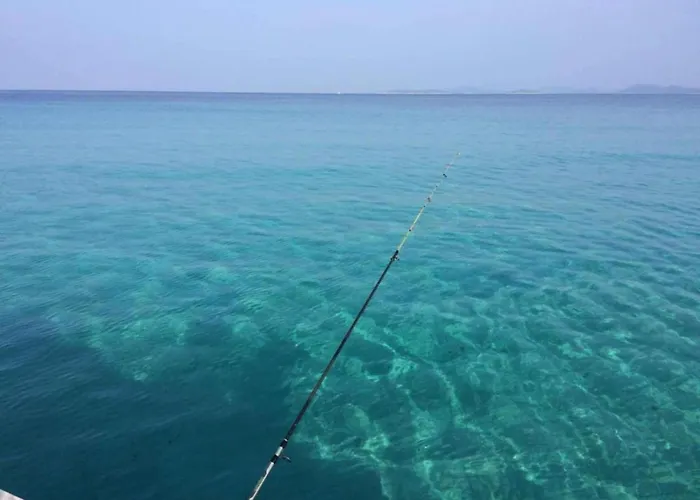 On Dugi Otok Near Sakarun * Veli Rat