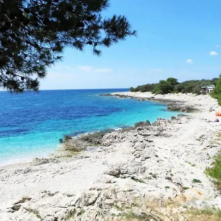 Lejlighed On Dugi Otok Near Sakarun